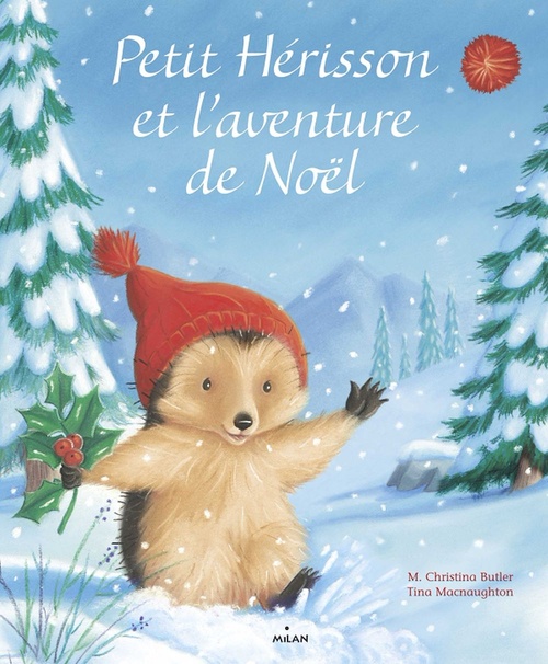 Couverture ebook de Petit Hérisson et l'aventure de Noël, de M. Christina Butler
