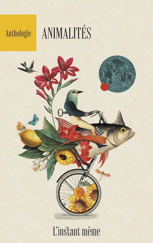 Couverture ebook de Animalités, de Collectif