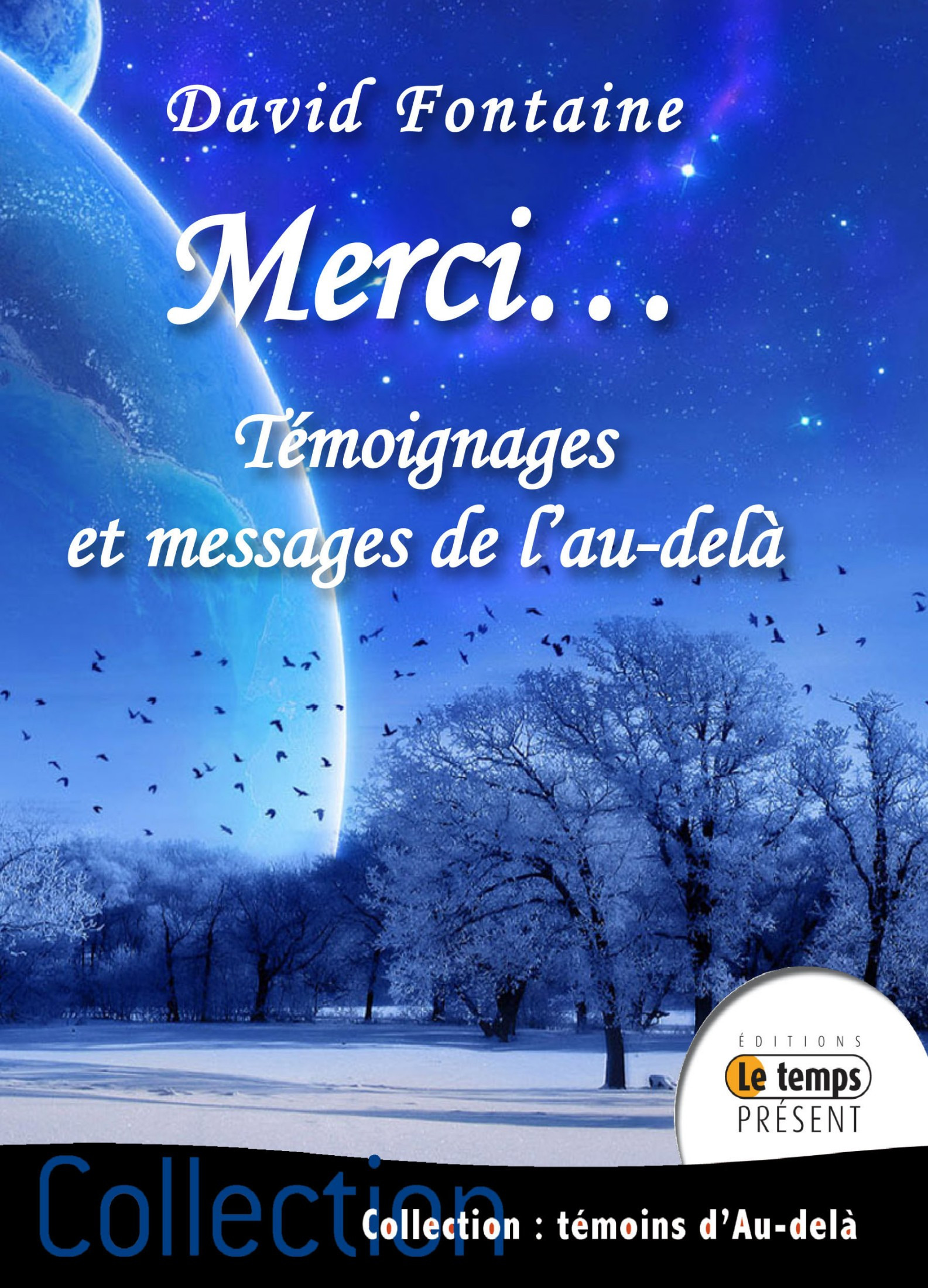 ebook cover of Merci - Tome 1, by David Fontaine