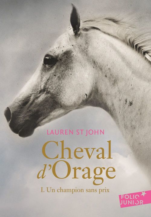 Couverture ebook de Cheval d'Orage (Tome 1) - Un champion sans prix, de Lauren St john