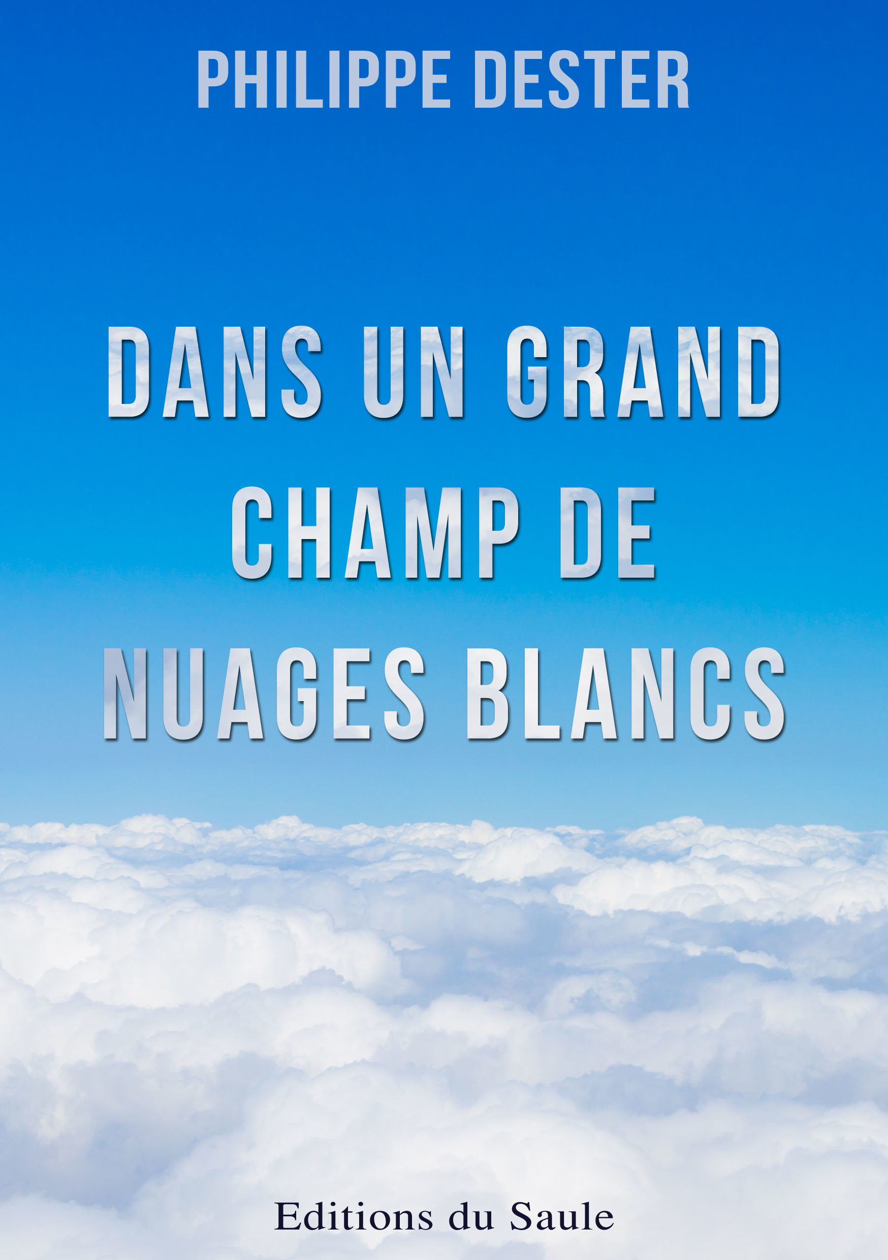 ebook cover of Dans un grand champ de nuages blancs, by Philippe Dester