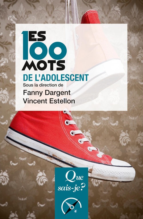 ebook cover of Les 100 mots de l'adolescent, by Fanny Dargent, Vincent Estellon
