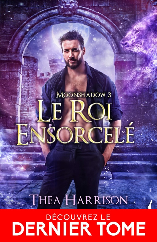 ebook cover of Le roi ensorcelé, by Thea Harrison