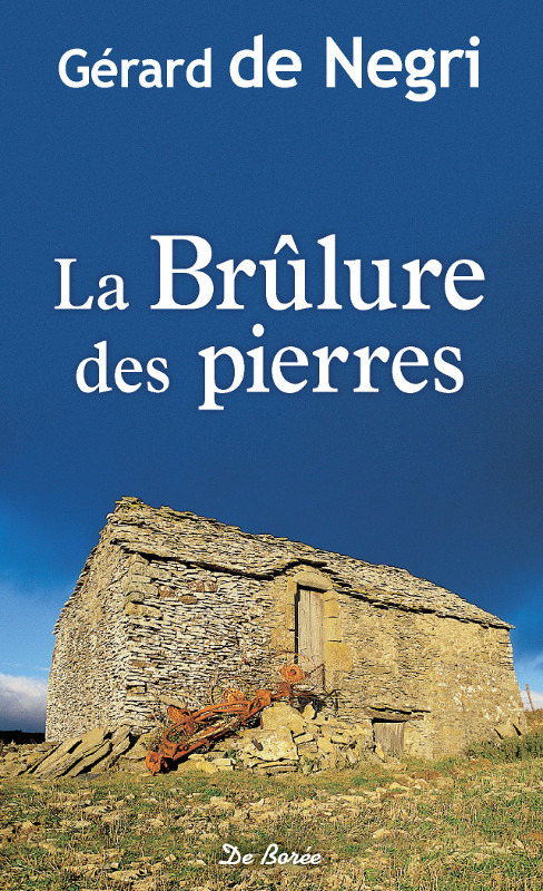 ebook cover of La Brûlure des pierres, by Gérard de Negri