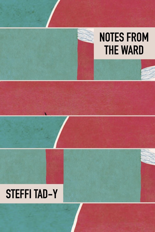 Couverture ebook de Notes from the Ward, de Steffi Tad-Y
