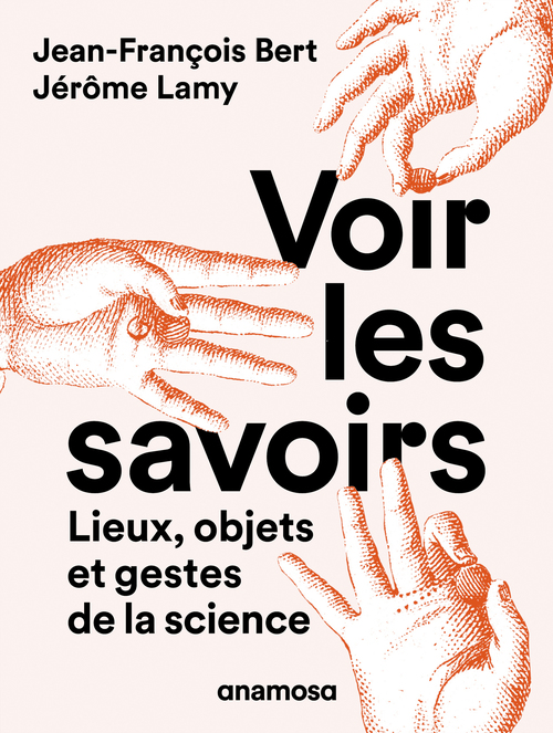 ebook cover of Voir les savoirs, by Jean-François Bert, Jérôme Lamy