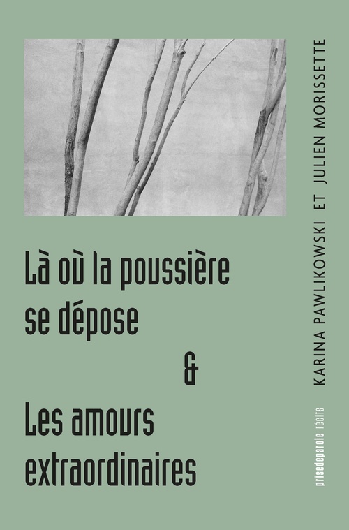 Couverture ebook de Là où la poussière se dépose, suivi de Les amours extraordinaires, de Julien Morissette, Karina Pawlikowski