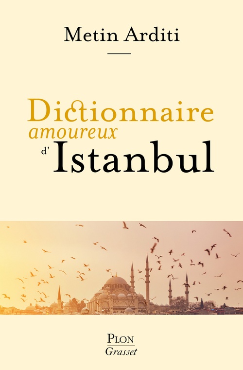 ebook cover of Dictionnaire amoureux d'Istanbul, by Metin Arditi