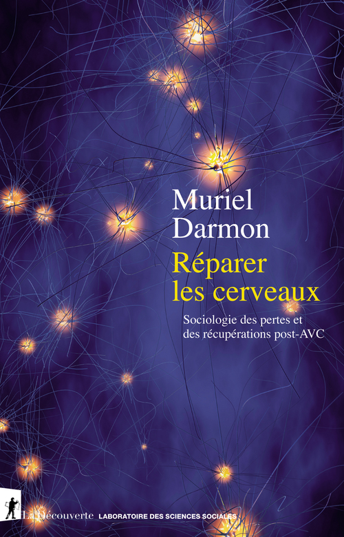 ebook cover of Réparer les cerveaux - Sociologie des pertes et des récupérations post-AVC, by Muriel Darmon