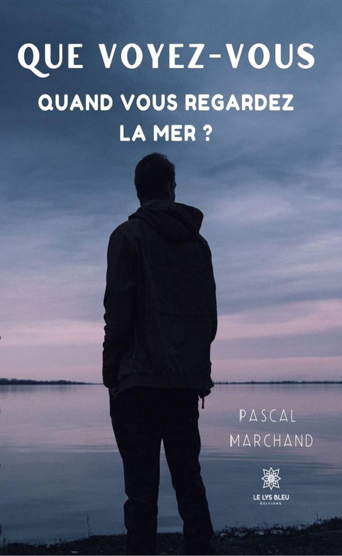 ebook cover of Que voyez-vous quand vous regardez la mer ?, by Pascal Marchand