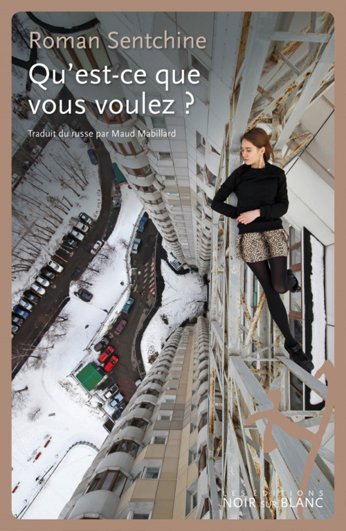 ebook cover of Qu'est-ce que vous voulez ?, by Roman Sentchine