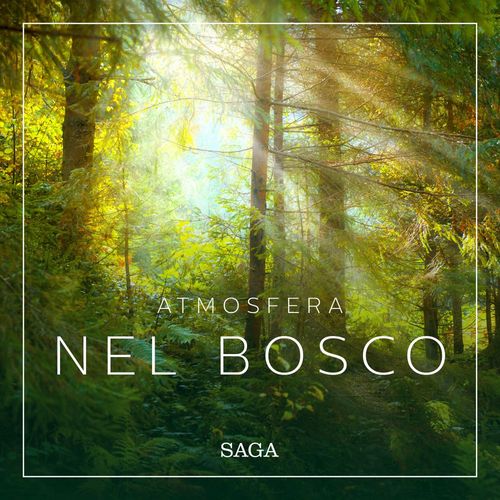 Couverture audiobook de Atmosfera - Nel bosco, de Rasmus Broe