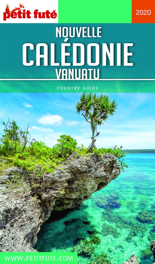 ebook cover of NOUVELLE CALÉDONIE 2020 Petit Futé, by Collectif petit futé