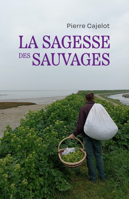 ebook cover of La sagesse des sauvages, by Pierre Cajelot