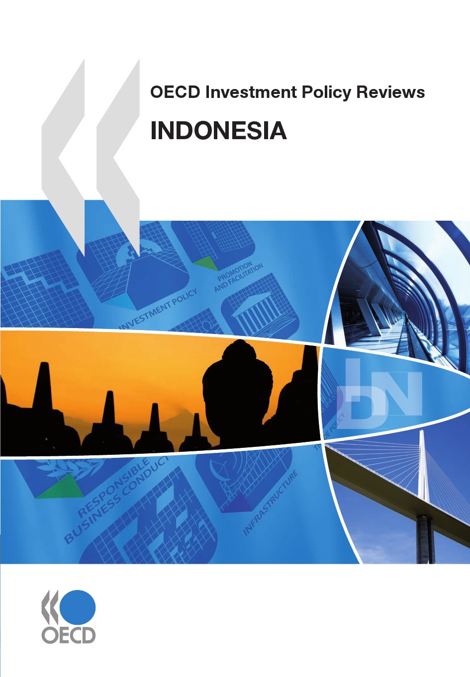 ebook cover of OECD Investment Policy Reviews: Indonesia 2010, by Collective