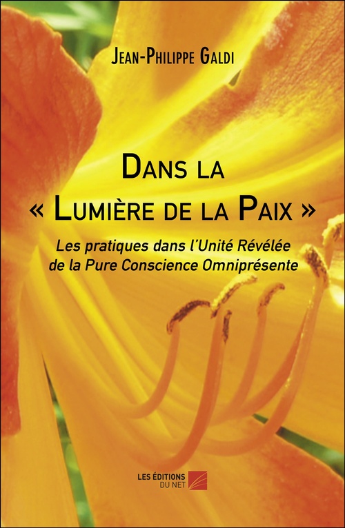 ebook cover of Dans la « Lumière de la Paix », by Jean-Philippe Galdi