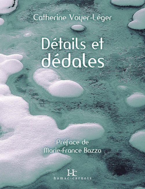 ebook cover of Détails et dédales, by Voyer-Leger Catherin