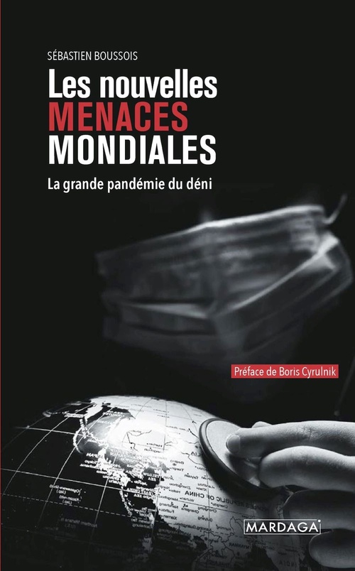 ebook cover of Les nouvelles menaces mondiales, by Sébastien Boussois