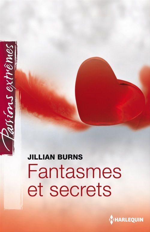 ebook cover of Fantasmes et secrets, by Jillian Burns