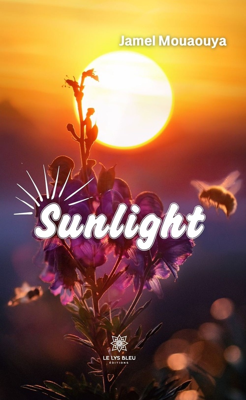 ebook cover of Sunlight, by Jamel Mouaouya