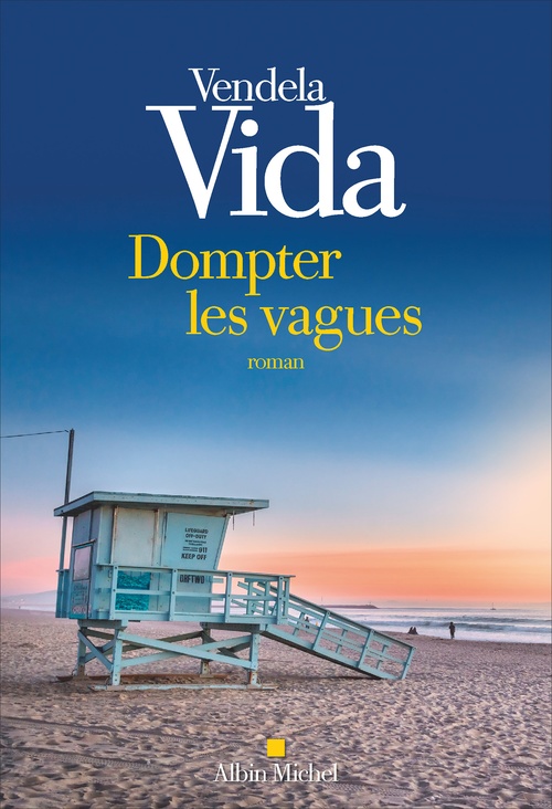 ebook cover of Dompter les vagues, by Vendela Vida