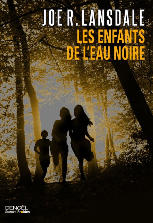 ebook cover of Les enfants de l'eau noire, by Joe r. Lansdale