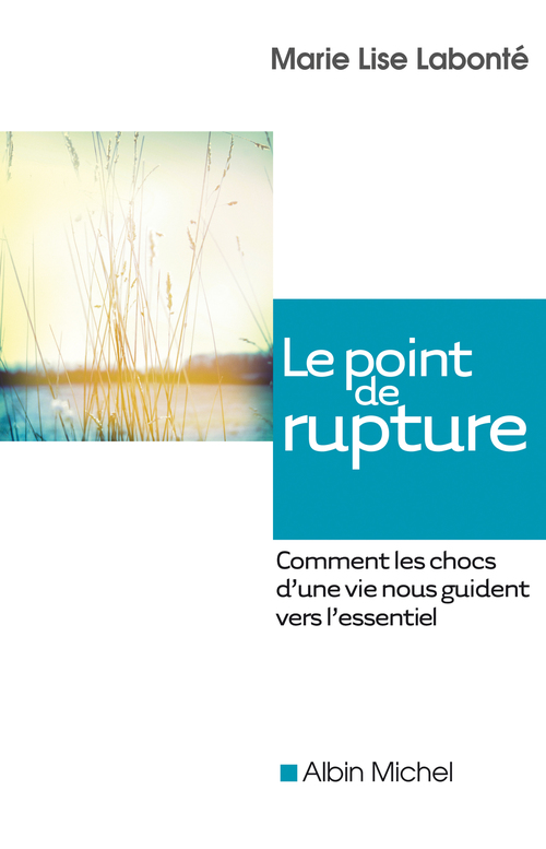 ebook cover of Le Point de rupture, by Marie-Lise Labonté