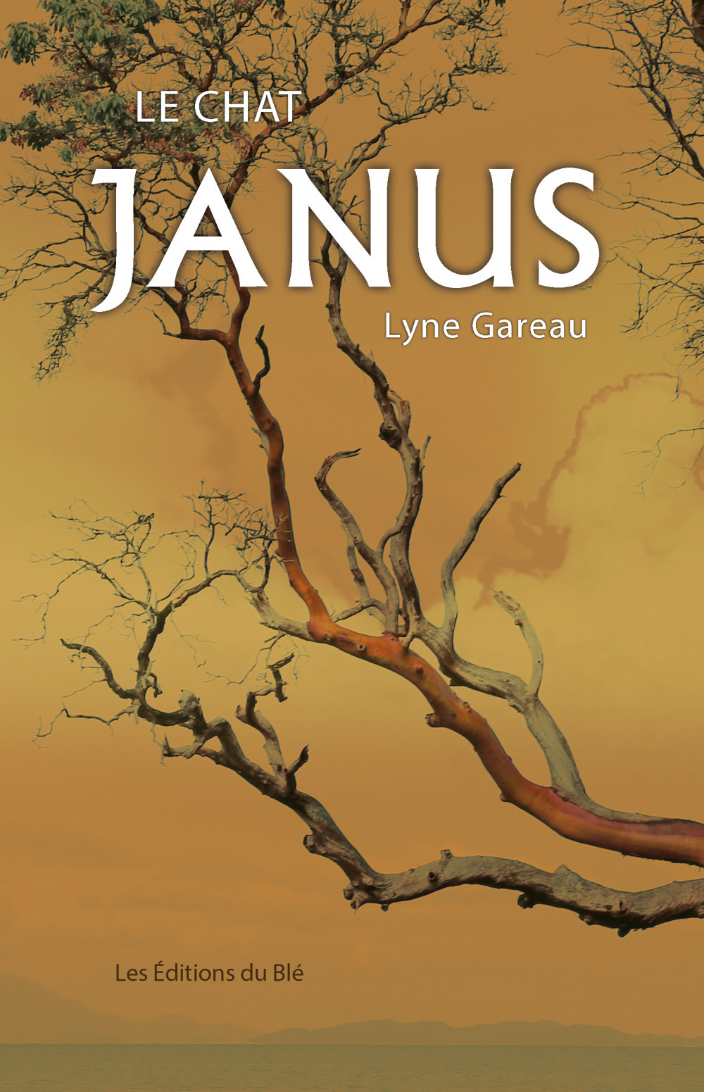 Couverture ebook de Le chat Janus, de Lyne Gareau