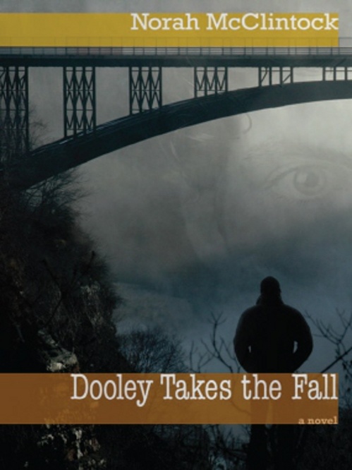 ebook cover of Dooley Takes the Fall, by Norah Mcclintock