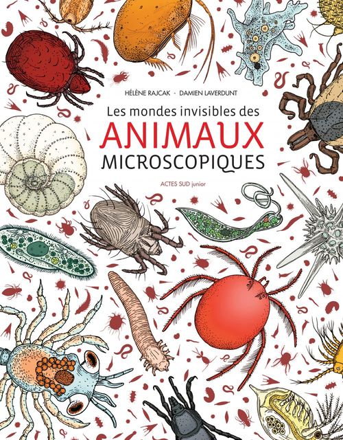 Couverture ebook de Les mondes invisibles des animaux microscopiques, de Damien Laverdunt, Hélène Rajcak