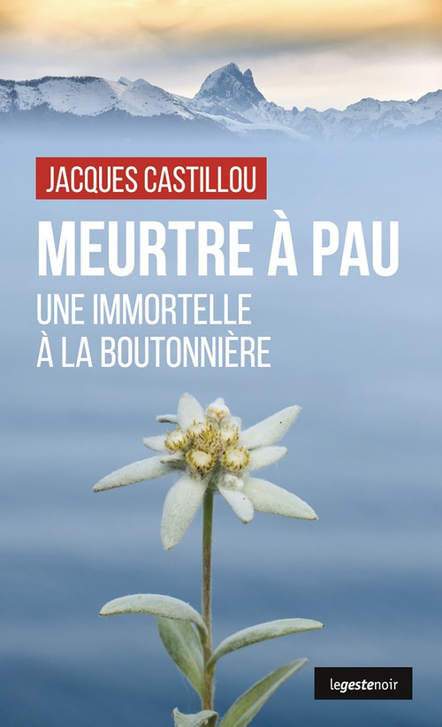 Couverture ebook de Meurtre à Pau, de Jacques Castillou