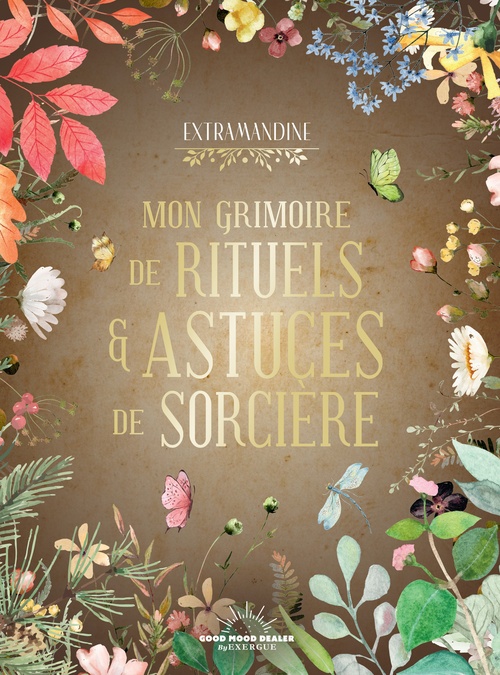 Couverture ebook de Mon Grimoire de rituels et astuces de sorcière, de Amandine Faus