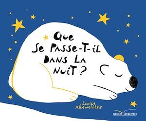 Couverture ebook de Que se passe-t-il dans la nuit ?, de Lucile Colas-Ahrweiller