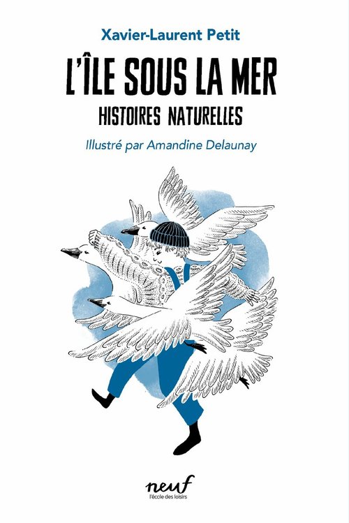 ebook cover of L'île sous la mer, by Amandine Delaunay, Xavier-Laurent Petit