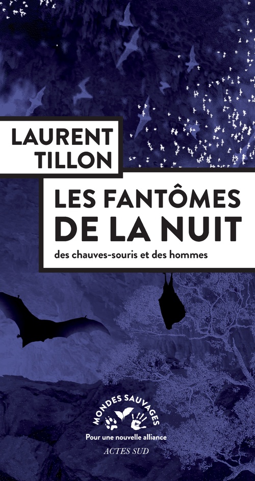 Couverture ebook de Les Fantômes de la nuit, de Laurent Tillon