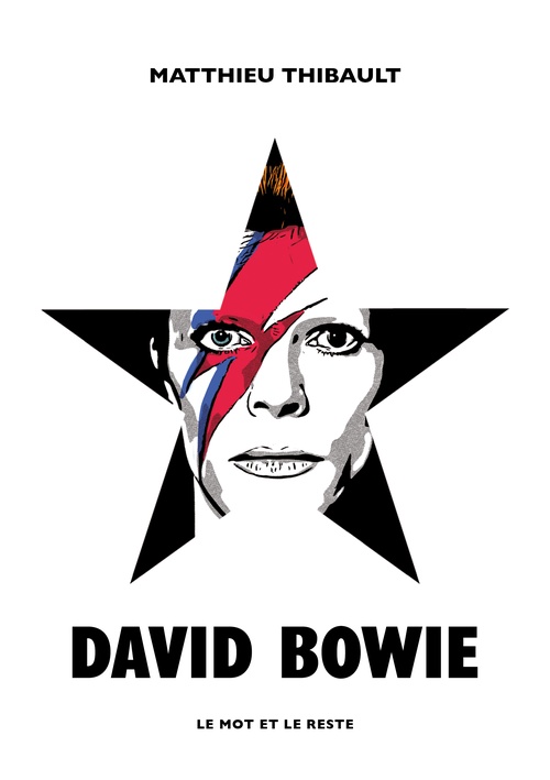 ebook cover of David Bowie, by Matthieu Thibault