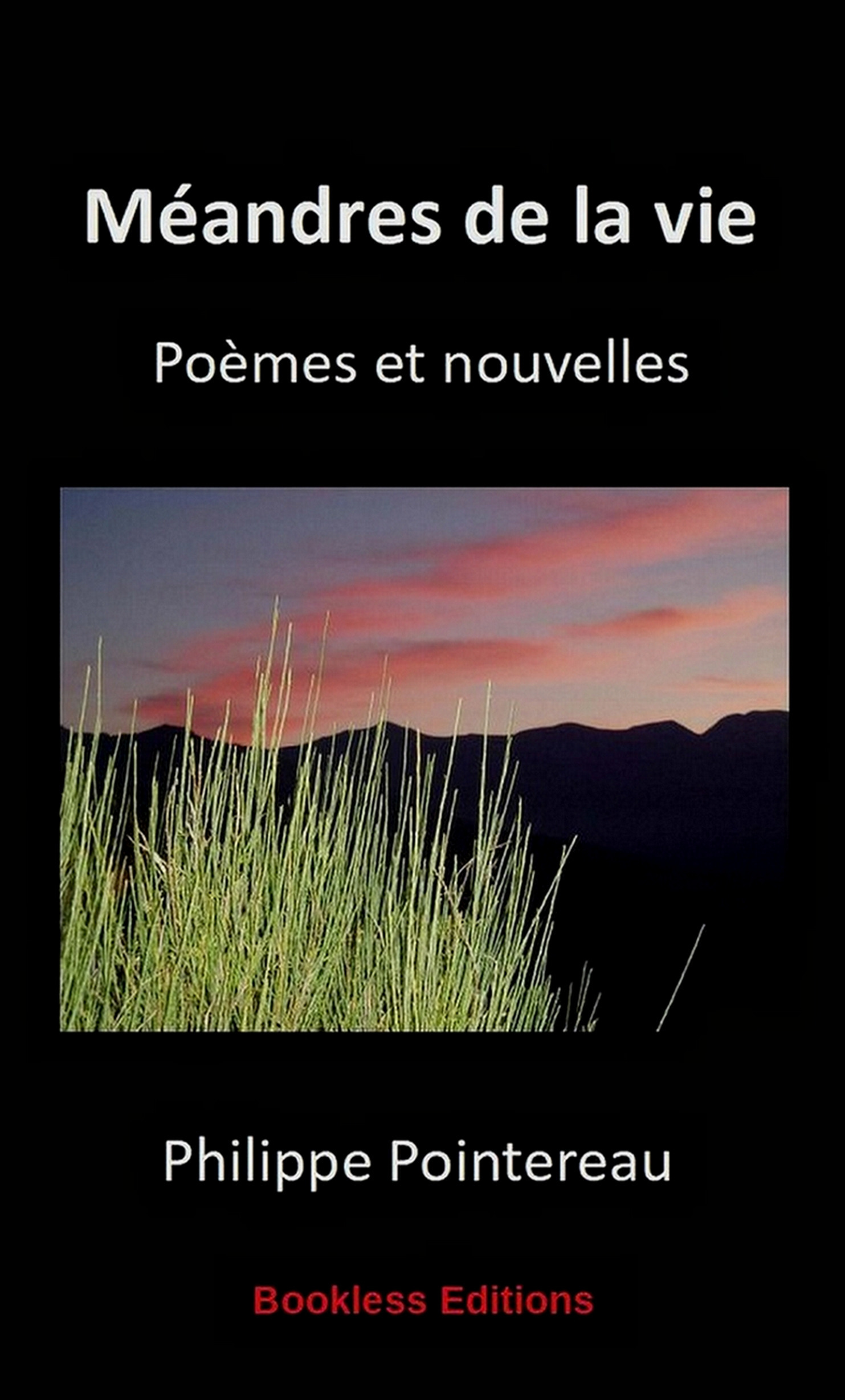 ebook cover of Méandres de la vie, by Philippe Pointereau