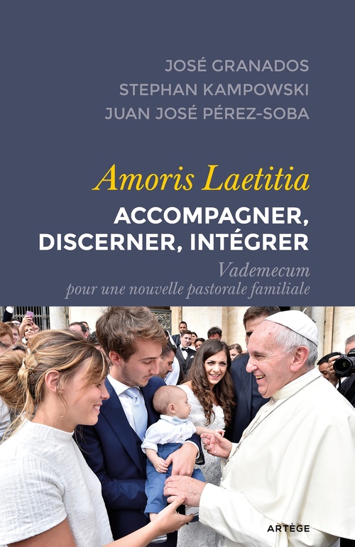 ebook cover of Amoris Laetitia : accompagner, discerner, intégrer, by José Granados