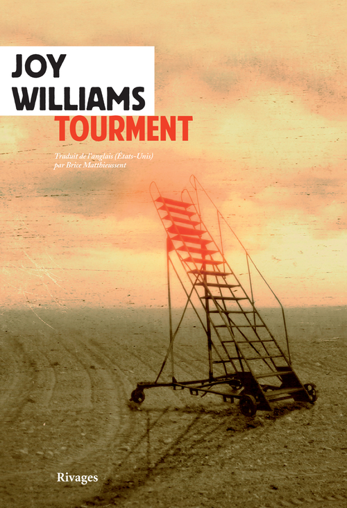 Couverture ebook de Tourment, de Joy Williams
