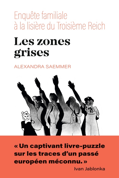 ebook cover of Les zones grises, by Alexandra Saemmer