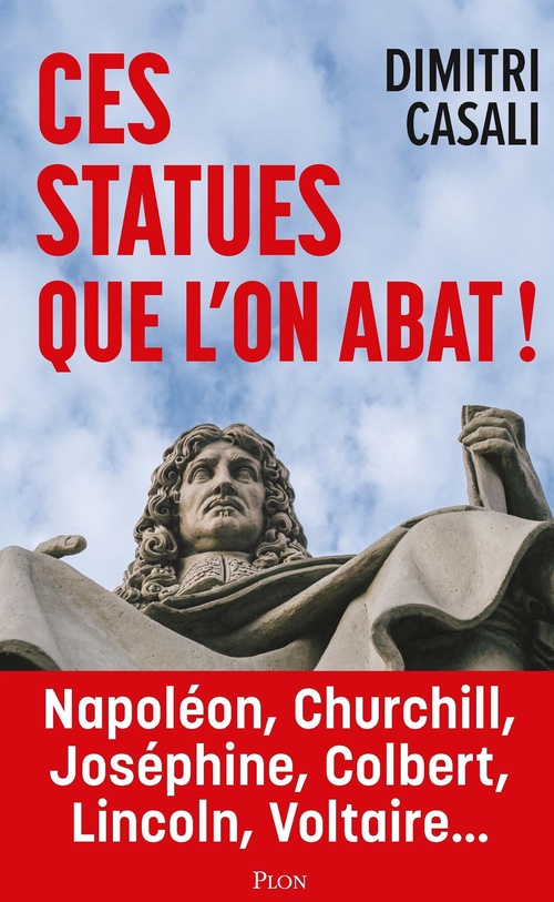 Couverture ebook de Ces statues que l'on abat ! - Révélations sur les plans secrets du wokisme, de Dimitri Casali