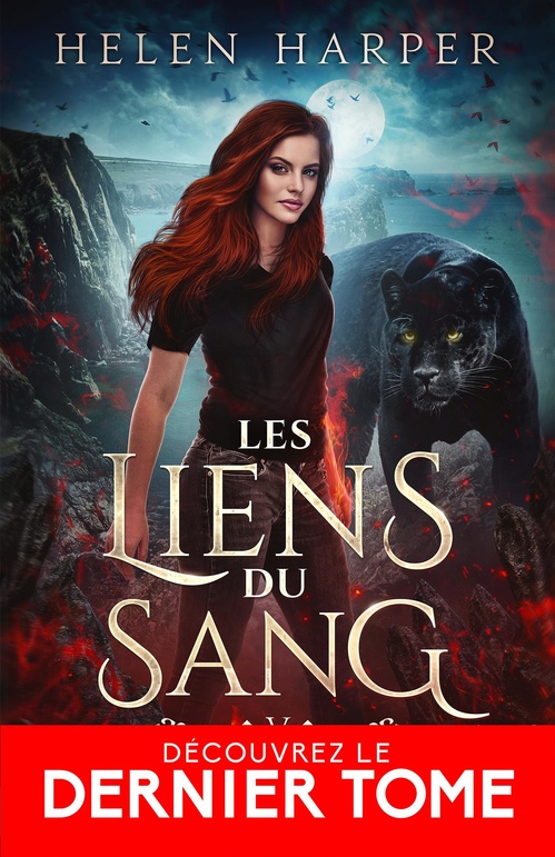 ebook cover of Désirs en pagaille, by Helen Harper