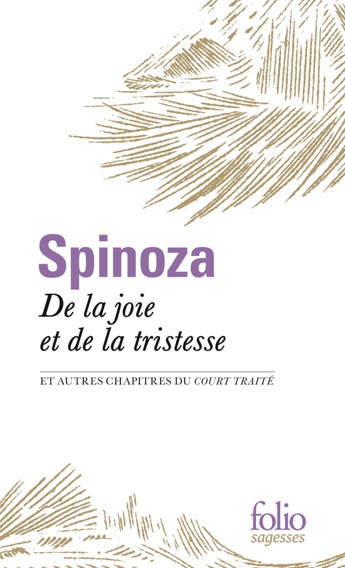 ebook cover of De la joie et de la tristesse, by Spinoza