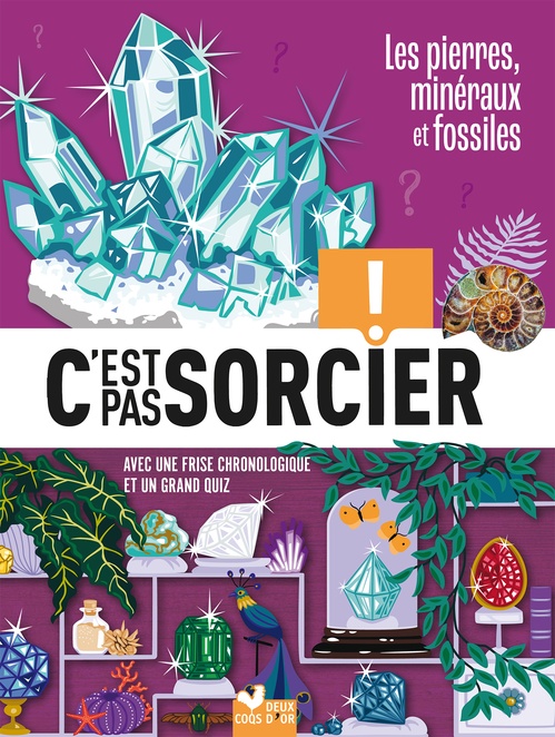 Couverture ebook de C'est pas sorcier - Fossiles, pierres et minéraux, de Eric Mathivet