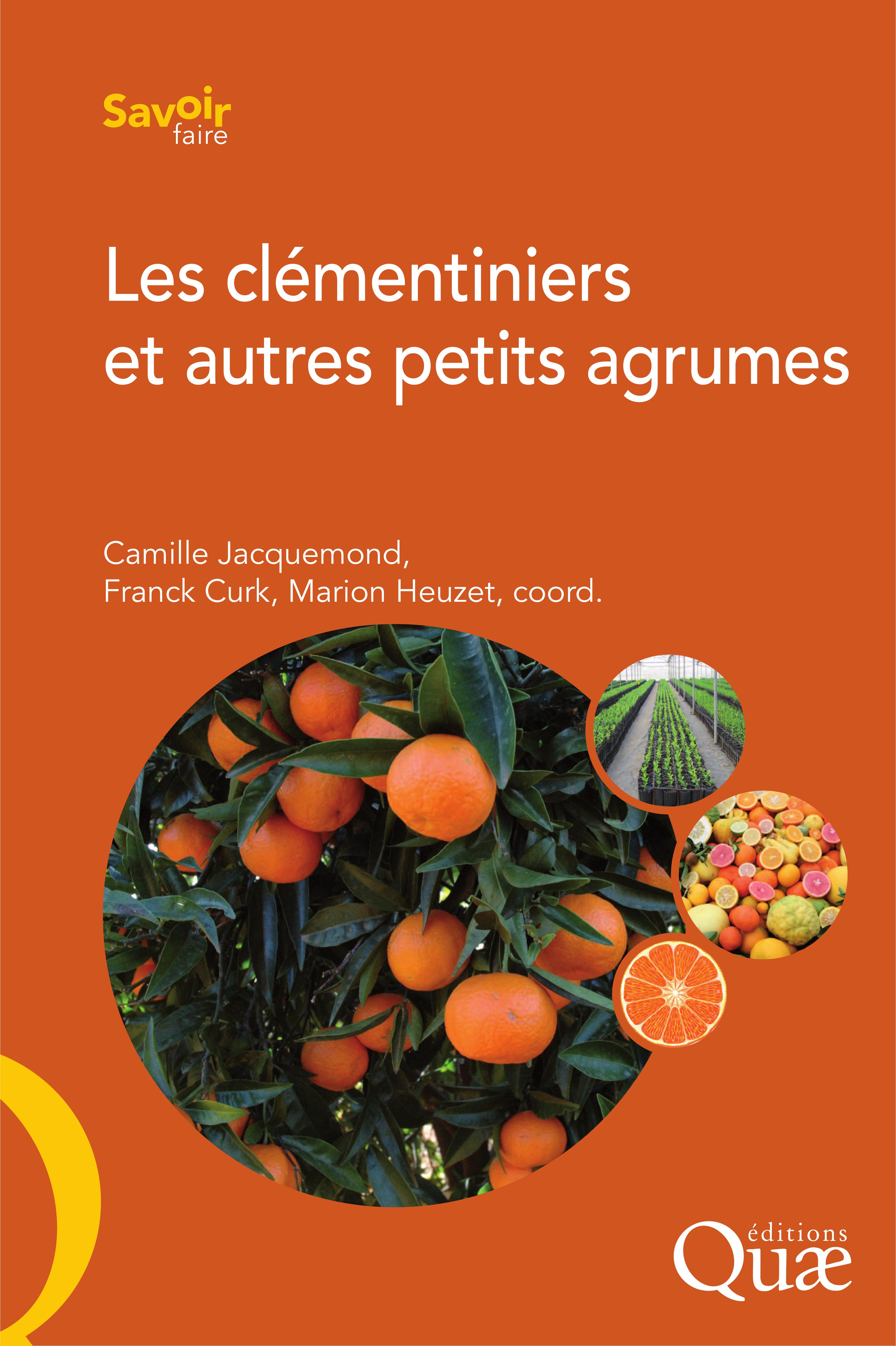 Couverture ebook de Les clémentiniers et autres petits agrumes, de Franck Curk, Marion Heuzet, Camille Jacquemond
