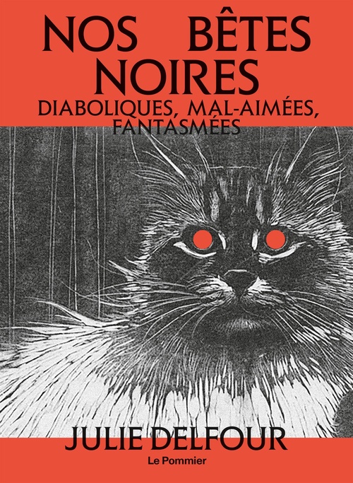 ebook cover of Nos bêtes noires, by Julie Delfour