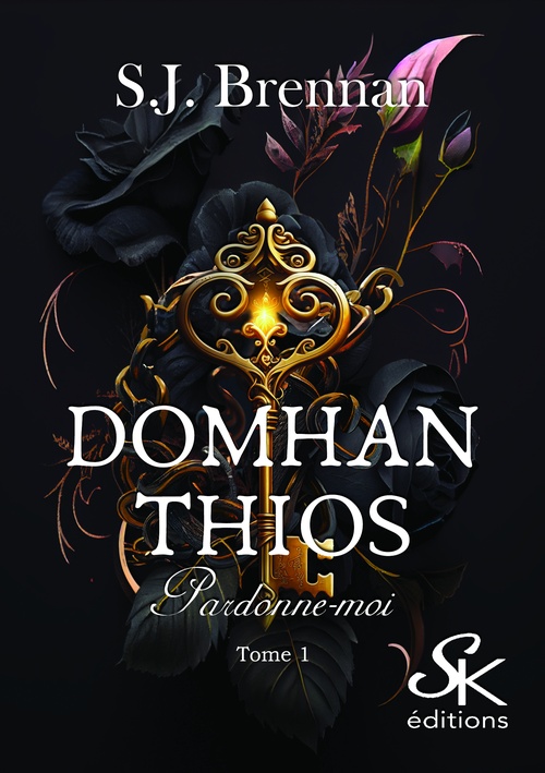 ebook cover of Domhan Thios 1, by S. J Brennan