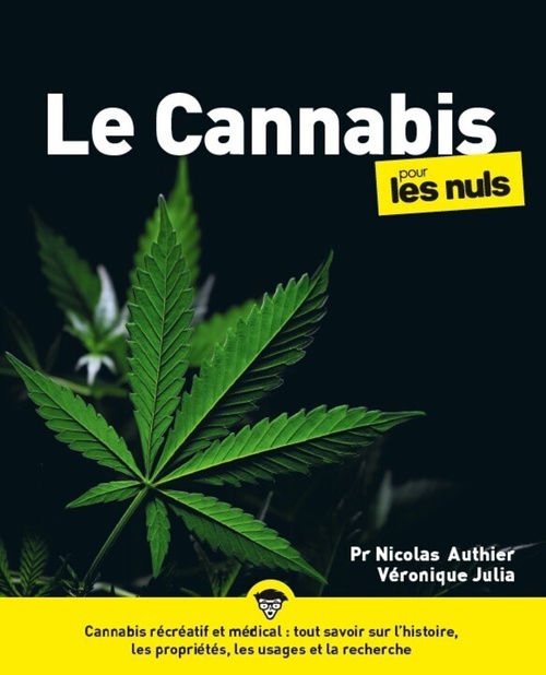 Couverture ebook de Le Cannabis pour les Nuls, grand format, de Nicolas Authier, Véronique Julia