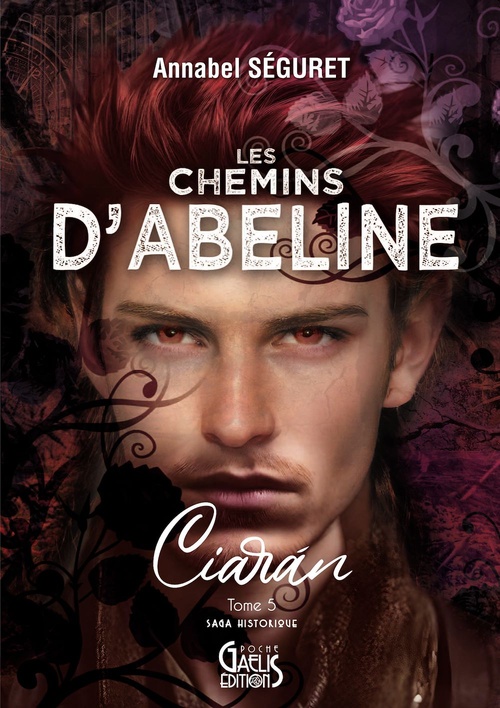 ebook cover of Ciara´n, by Annabel Séguret