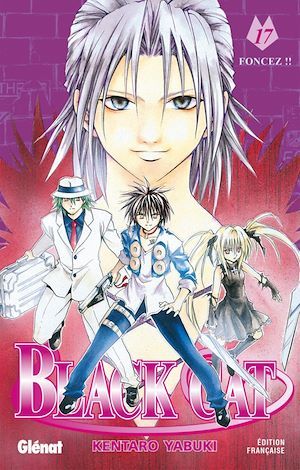 ebook cover of Black Cat - Tome 17, by Yabuki-K